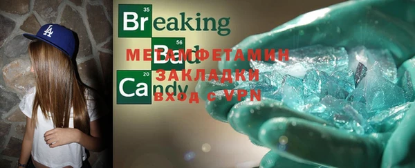 стаф Ельня