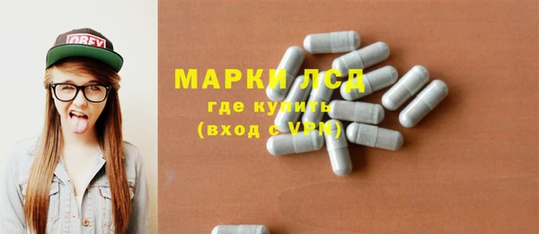 стаф Ельня