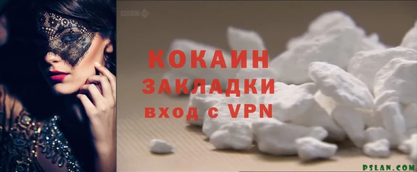 стаф Ельня