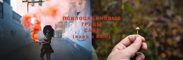 мяу мяу мука Елизово