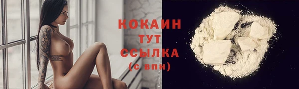 мяу мяу мука Елизово