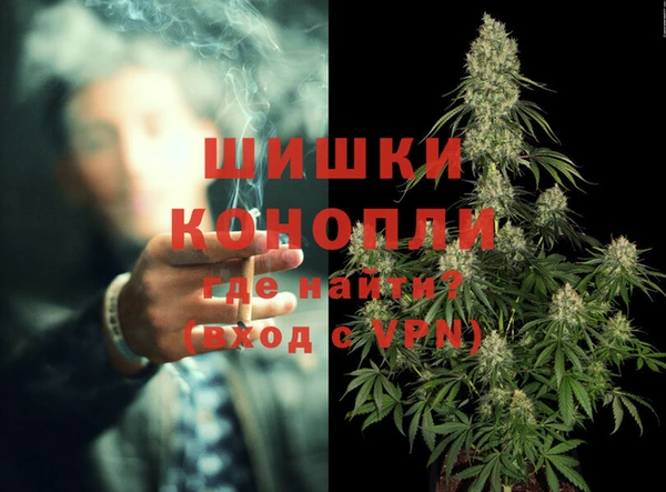 стаф Ельня