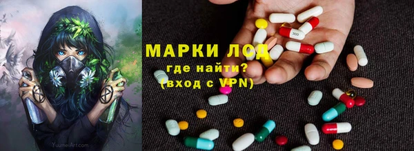 стаф Ельня