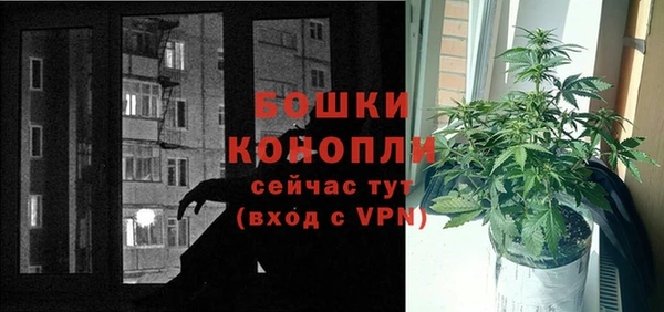 стаф Ельня