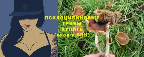 мефедрон Заводоуковск