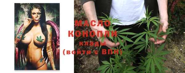 стаф Ельня
