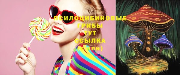 мяу мяу мука Елизово