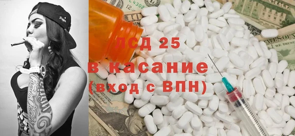 стаф Ельня
