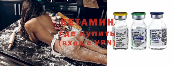стаф Ельня