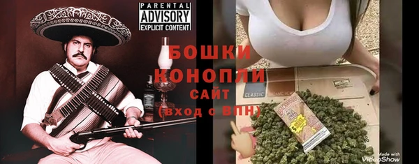 стаф Ельня