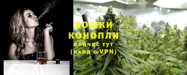 стаф Ельня