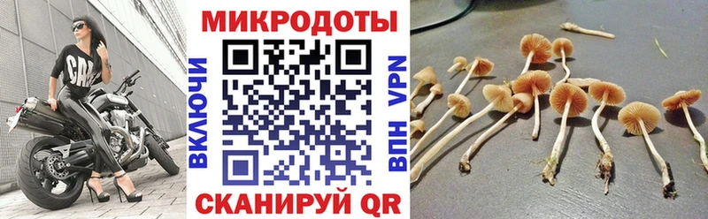 Галлюциногенные грибы прущие грибы  Купить  Гуково 